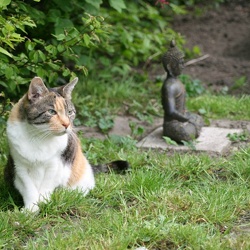 catwalk