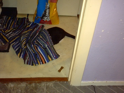 IMG00019