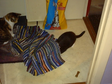 IMG00020