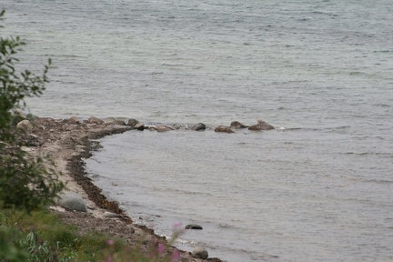 Dänemark2013-1130