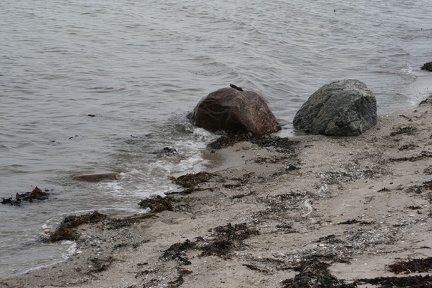Dänemark2013-1157