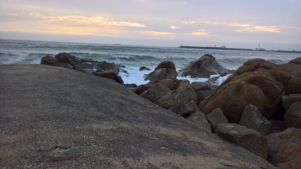 WP 20170504 19 47 36 Rich (3)