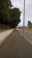 WP 20170504 20 27 26 Rich