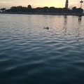WP 20140715 20 46 47 Pro