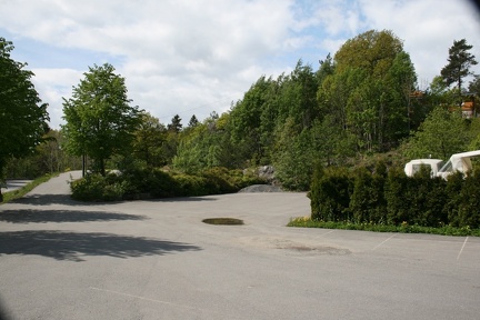 IMG 0230