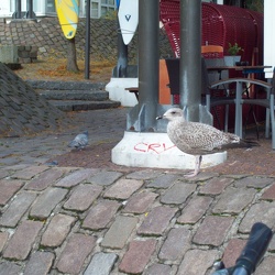 baltic sea 2012