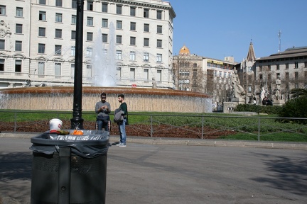 IMG 7119