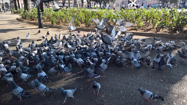 WP_20160225_15_36_54_Rich (2).jpg