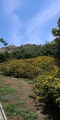 IMG 20230606 141736