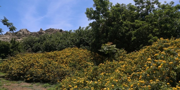 IMG 20230606 141747