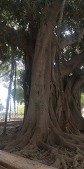 IMG 20230608 150428