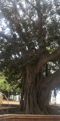 IMG 20230608 150433