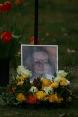 IMG 7154