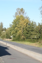 IMG 4332