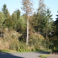 IMG 4336