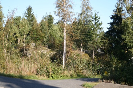 IMG 4336