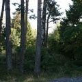 IMG 4351